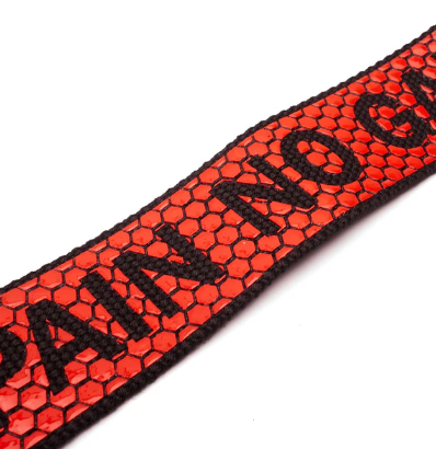STRAP 2.0